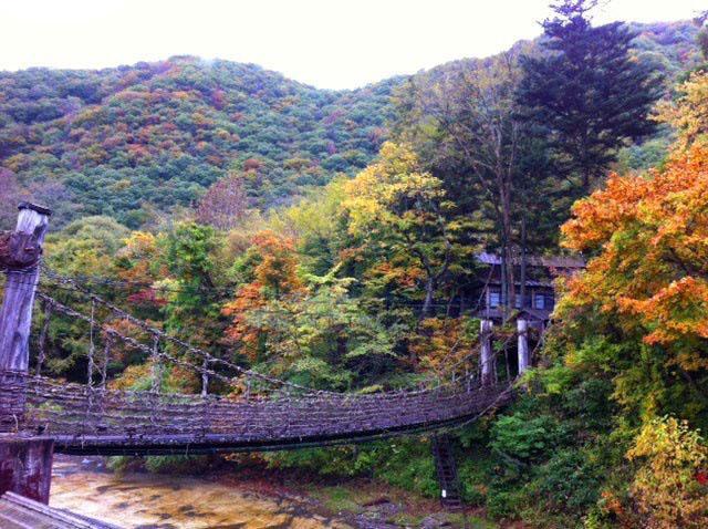 Honke Bankyu Hotel Nikko Exterior photo